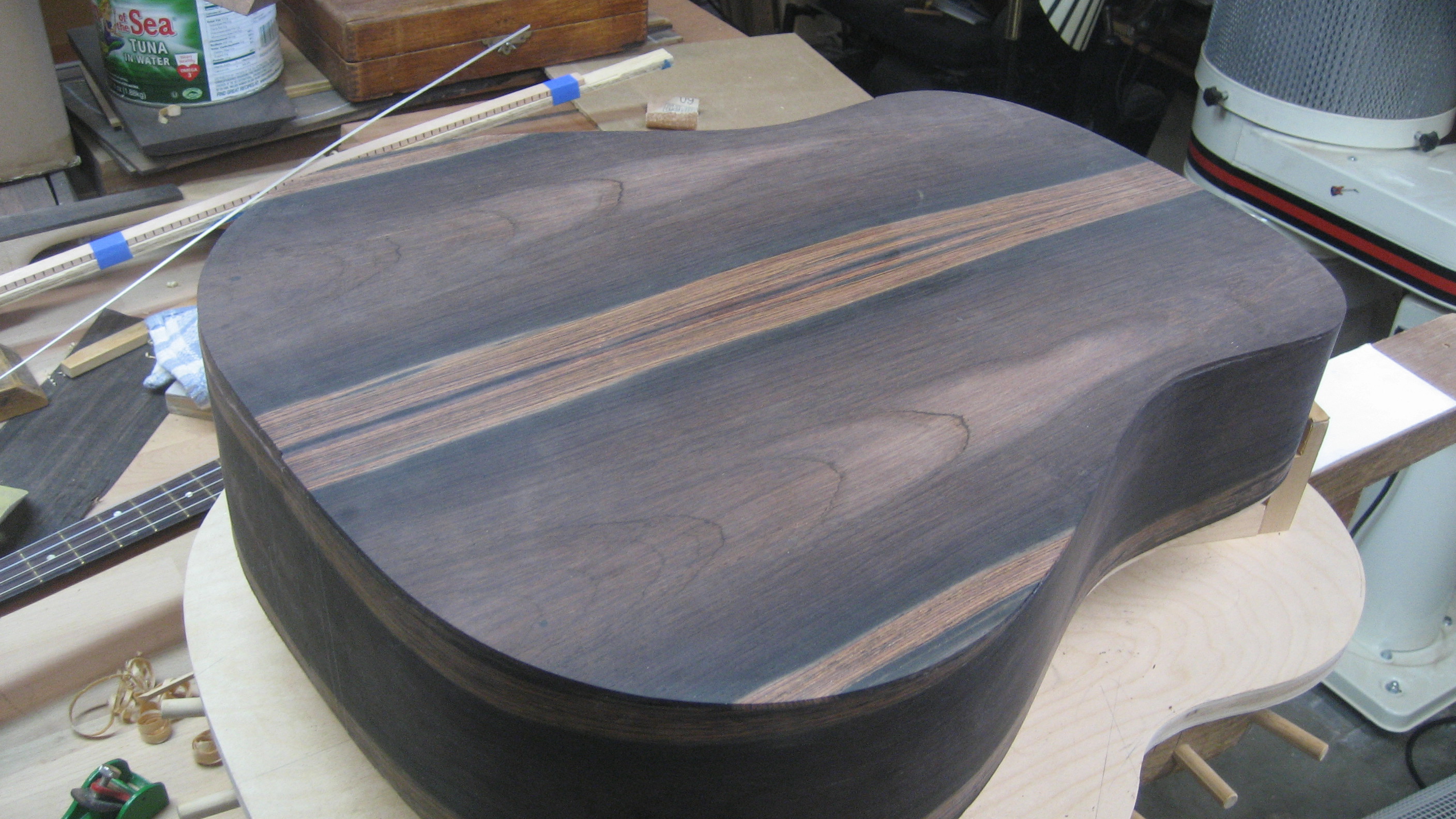 Customised Acoustic Guitar